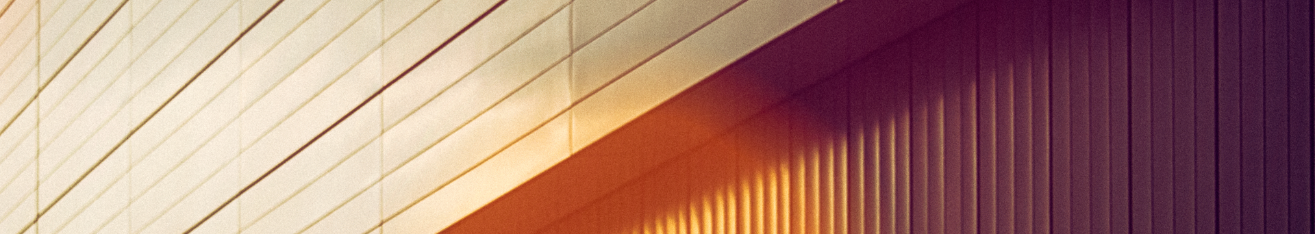 Multilingual Member Experience