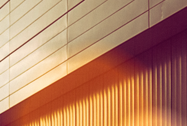 Multilingual Member Experience